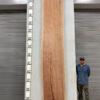 live-edge-pecan-wood-slab-front-pe-228-03.jpg Live Edge Pecan Slab PE 228-03