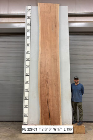 live-edge-pecan-wood-slab-front-pe-228-03.jpg Live Edge Pecan Slab PE 228-03