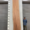 live-edge-pecan-wood-slab-front-pe-228-04-1.jpg Live Edge Pecan Slab PE 228-04