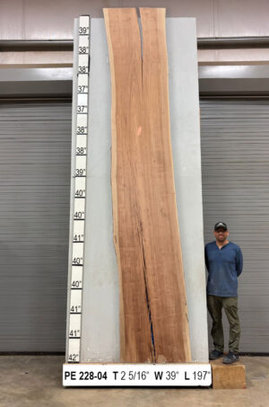 live-edge-pecan-wood-slab-front-pe-228-04-1.jpg Live Edge Pecan Slab PE 228-04
