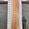 live-edge-pecan-wood-slab-front-pe-228-07.jpg Live Edge Pecan Slab PE 228-07