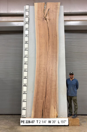 live-edge-pecan-wood-slab-front-pe-228-07.jpg Live Edge Pecan Slab PE 228-07