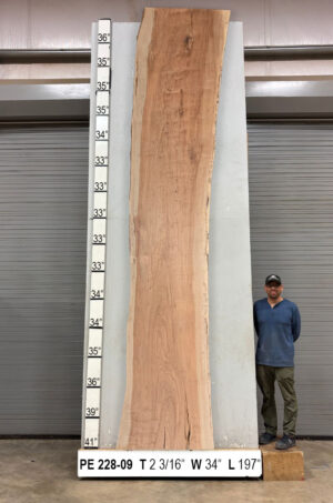 live-edge-pecan-wood-slab-front-pe-228-09.jpg Live Edge Pecan Slab PE 228-09