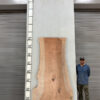 live-edge-pecan-wood-slab-front-pe-242-01.jpg Live Edge Pecan Slab PE 242-01