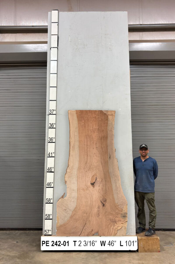 live-edge-pecan-wood-slab-front-pe-242-01.jpg Live Edge Pecan Slab PE 242-01