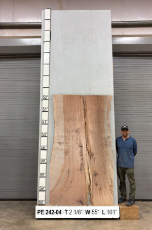 live-edge-pecan-wood-slab-front-pe-242-04.jpg Live Edge Pecan Slab PE 242-04