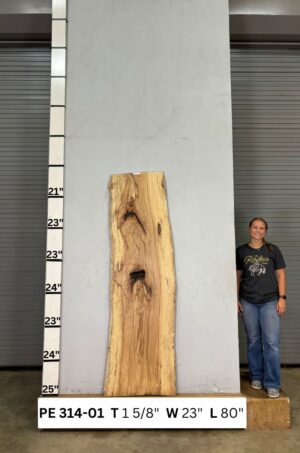 live-edge-pecan-wood-slab-front-pe-314-01.jpg Live Edge Pecan Slab PE 314-01