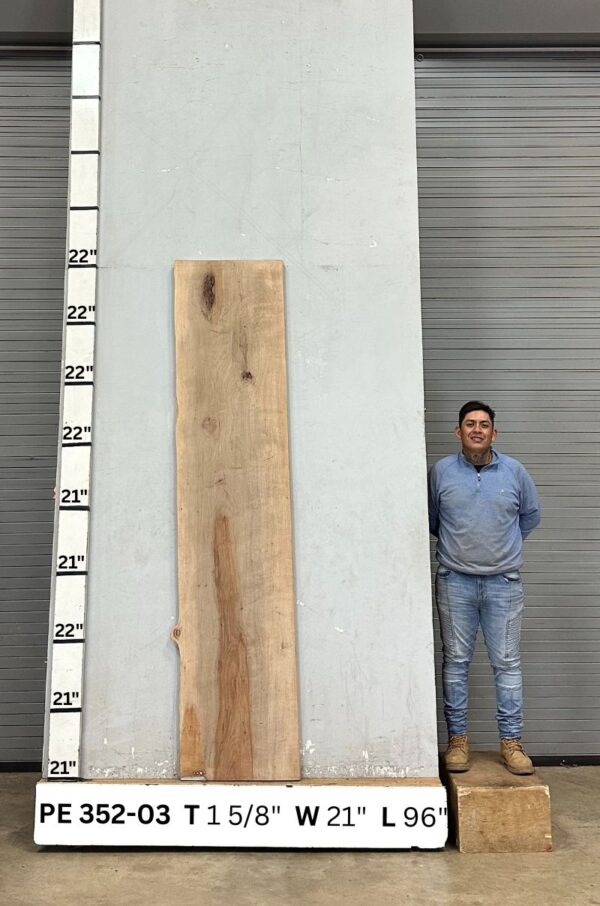live-edge-pecan-wood-slab-front-pe-352-03.jpg Live Edge Pecan Slab PE 352-03