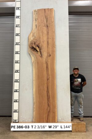 live-edge-pecan-wood-slab-front-pe-386-03.jpg Live Edge Pecan Slab PE 386-03