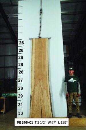 live-edge-pecan-wood-slab-front-pe-395-01.jpg Live Edge Pecan Slab PE 395-01