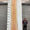 live-edge-pecan-wood-slab-front-pe-404-02.jpg Live Edge Pecan Slab PE 404-02