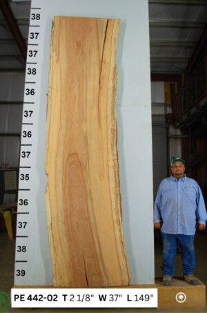 live-edge-pecan-wood-slab-front-pe-442-02-1.jpg Live Edge Pecan Slab PE 442-02