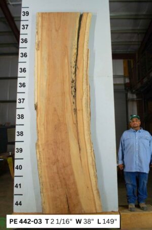 live-edge-pecan-wood-slab-front-pe-442-03-1.jpg Live Edge Pecan Slab PE 442-03