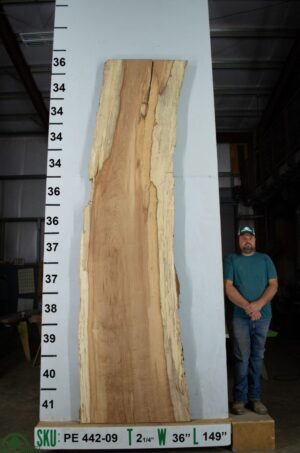 live-edge-pecan-wood-slab-front-pe-442-09.jpg Live Edge Pecan Slab PE 442-09