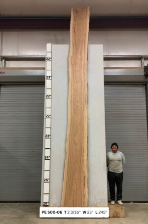 live-edge-pecan-wood-slab-front-pe-500-06.jpg Live Edge Pecan Slab PE 500-06