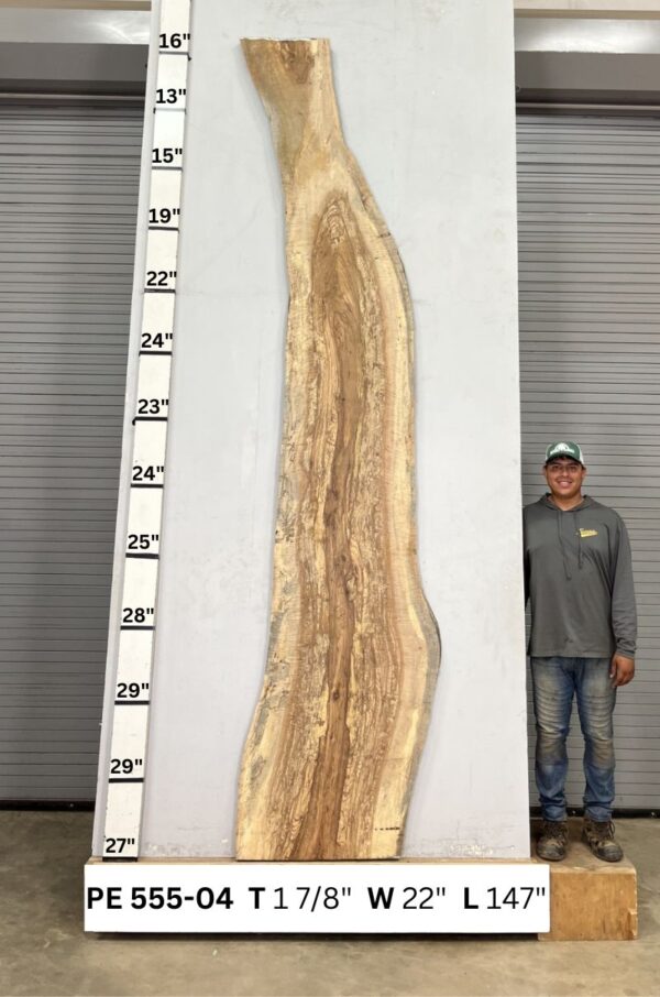 live-edge-pecan-wood-slab-front-pe-555-04.jpg Live Edge Pecan Slab PE 555-04