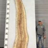 live-edge-pecan-wood-slab-front-pe-555-05.jpg Live Edge Pecan Slab PE 555-05