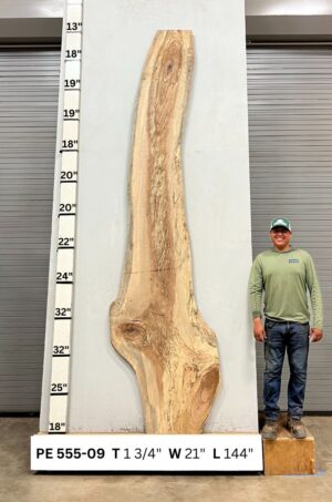 live-edge-pecan-wood-slab-front-pe-555-09.jpg Live Edge Pecan Slab PE 555-09