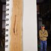 live-edge-pecan-wood-slab-front-pe-609-01.jpg Live Edge Pecan Slab PE 609-01