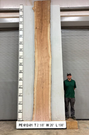 Slabs pt. 2 - 90 Live Edge Pecan Slab PE 612-01