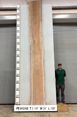 Slabs pt. 2 - 90 Live Edge Pecan Slab PE 612-02