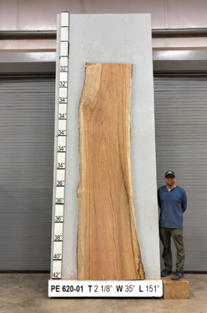 live-edge-pecan-wood-slab-front-pe-620-01.jpg Live Edge Pecan Slab PE 620-01