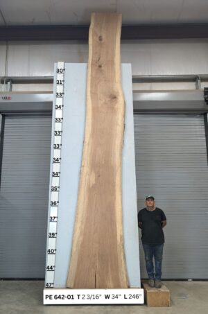 live-edge-pecan-wood-slab-front-pe-642-01-1.jpg Live Edge Pecan Slab PE 642-01
