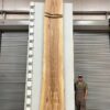 live-edge-pecan-wood-slab-front-pe-683-07.jpg Live Edge Pecan Slab PE 683-07