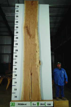 live-edge-pecan-wood-slab-front-pe-684-04-scaled-1.jpg Live Edge Pecan Slab PE 684-04