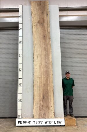 Slabs pt. 2 - 90 Live Edge Pecan Slab PE 704-01