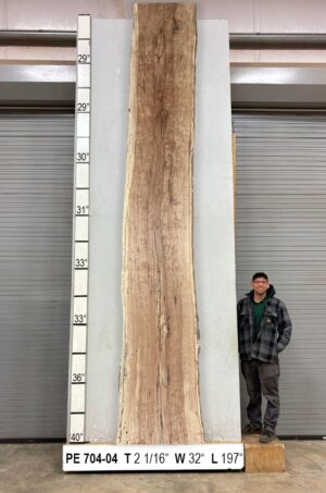 Slabs pt. 2 - 95 Live Edge Pecan Slab PE 704-04