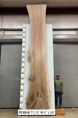 Slabs pt. 2 - 81 Live Edge Pecan Slab PE 820-02