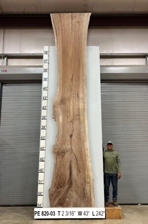 Slabs pt. 2 - 81 Live Edge Pecan Slab PE 820-03