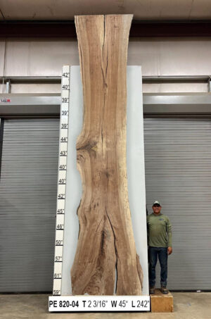 Slabs pt. 2 - 81 Live Edge Pecan Slab PE 820-04