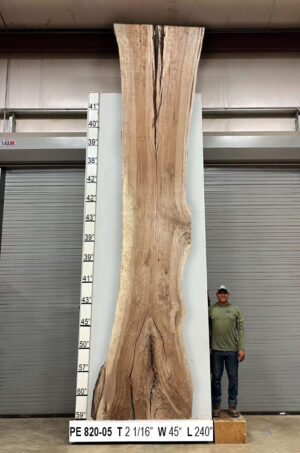 Slabs pt. 2 - 81 Live Edge Pecan Slab PE 820-05