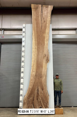 Slabs pt. 2 - 81 Live Edge Pecan Slab PE 820-06