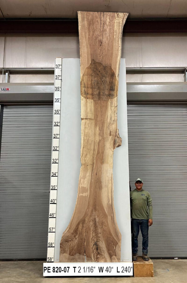 Slabs pt. 2 - 81 Live Edge Pecan Slab PE 820-07