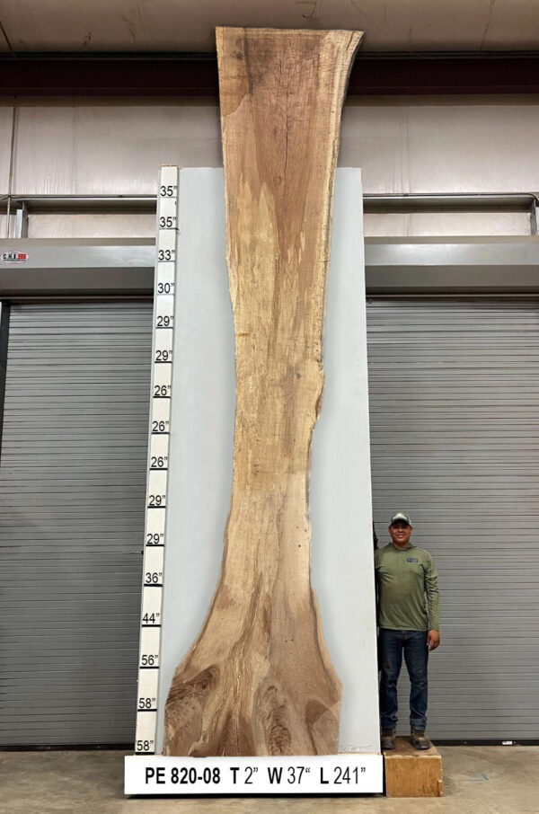 Slabs pt. 2 - 81 Live Edge Pecan Slab PE 820-08