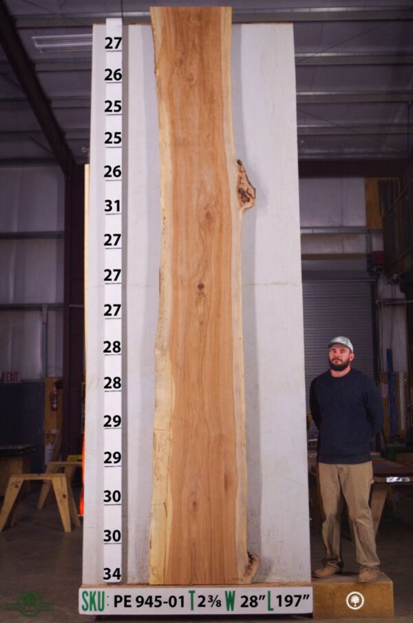 live-edge-pecan-wood-slab-front-pe-945-01.jpg Live Edge Pecan Slab PE 945-01