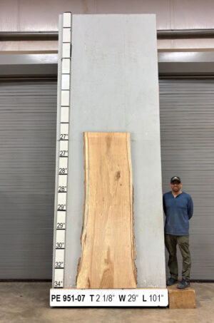 live-edge-pecan-wood-slab-front-pe-951-07.jpg Live Edge Pecan Slab PE 951-07