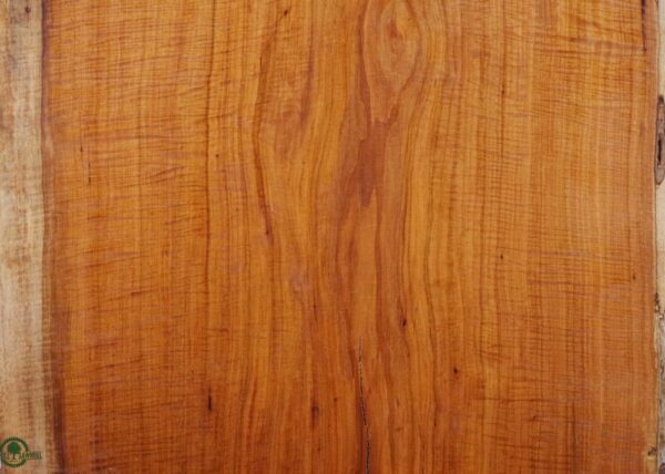 live-edge-pecan-wood-slab-grain-detail-pe-095-01.jpg Live Edge Pecan Slab PE 095-01