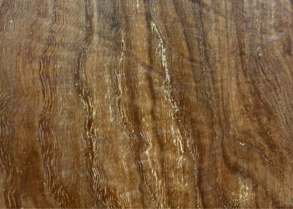 live-edge-pecan-wood-slab-grain-detail-pe-203-08.jpg Live Edge Pecan Slab PE 203-08
