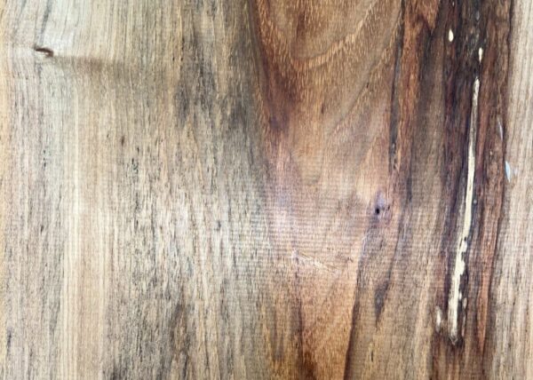 live-edge-pecan-wood-slab-grain-detail-pe-323-02.jpg Live Edge Pecan Slab PE 323-02