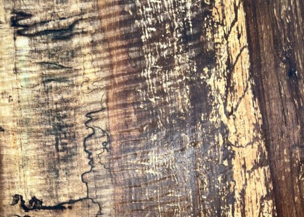 live-edge-pecan-wood-slab-grain-detail-pe-555-05.jpg Live Edge Pecan Slab PE 555-05