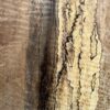 live-edge-pecan-wood-slab-grain-detail-pe-555-10.jpg Live Edge Pecan Slab PE 555-10