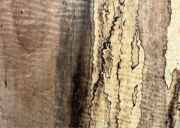 live-edge-pecan-wood-slab-grain-detail-pe-555-10.jpg Live Edge Pecan Slab PE 555-10
