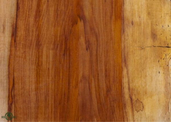 live-edge-pecan-wood-slab-grain-detail-pe-945-01.jpg Live Edge Pecan Slab PE 945-01