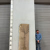 Slabs pt. 2 - 91 Live Edge Red Oak Slab RO 500-10