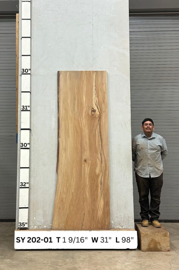 live-edge-sycamore-wood-slab-back-sy-202-01.jpg Live Edge Sycamore Slab SY 202-01