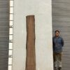 live-edge-walnut-wood-slab-back-wa-013-01.jpg Live Edge Walnut Slab WA 013-01